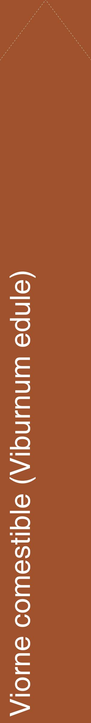 Étiquette de : Viburnum edule - format c - style blanche32_simplehel avec comestibilité