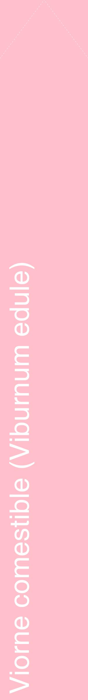 Étiquette de : Viburnum edule - format c - style blanche40_simplehel avec comestibilité
