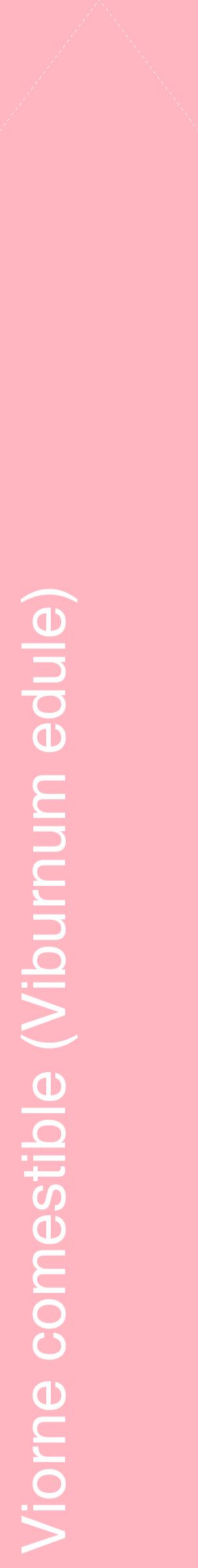 Étiquette de : Viburnum edule - format c - style blanche41_simplehel avec comestibilité