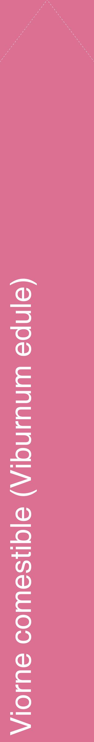 Étiquette de : Viburnum edule - format c - style blanche44_simplehel avec comestibilité