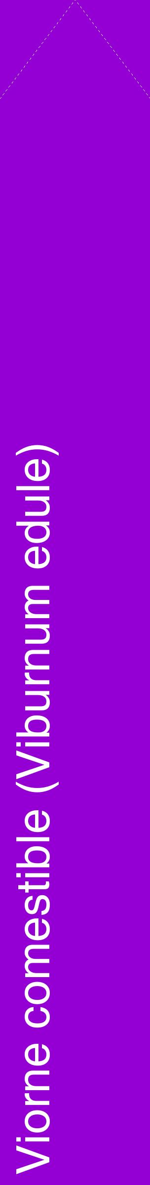 Étiquette de : Viburnum edule - format c - style blanche48_simplehel avec comestibilité