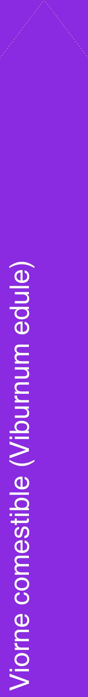 Étiquette de : Viburnum edule - format c - style blanche49_simplehel avec comestibilité