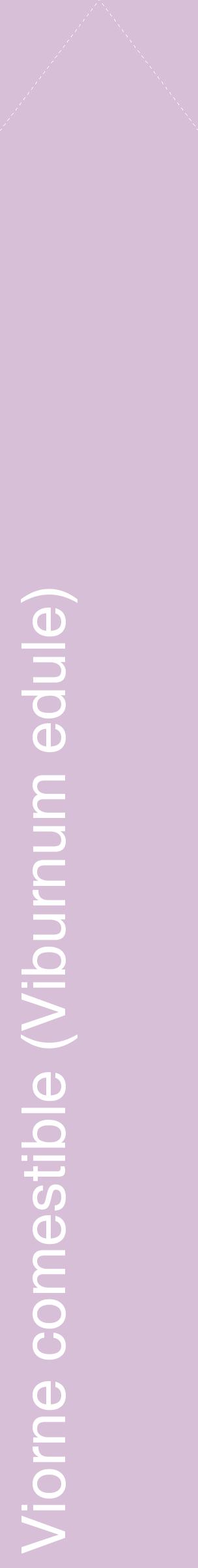Étiquette de : Viburnum edule - format c - style blanche54_simplehel avec comestibilité