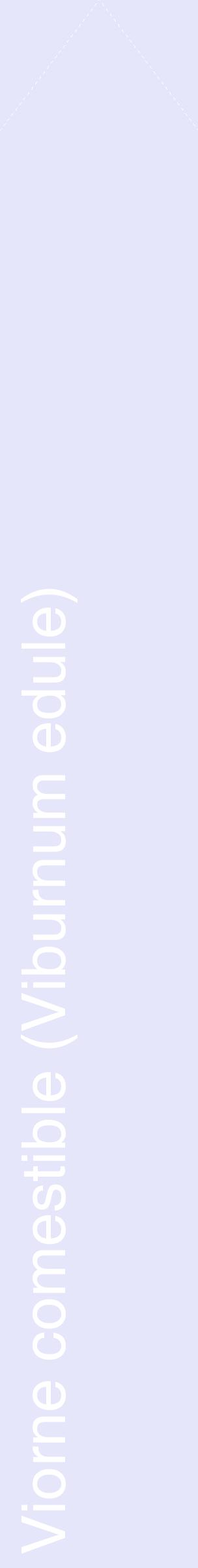 Étiquette de : Viburnum edule - format c - style blanche55_simplehel avec comestibilité