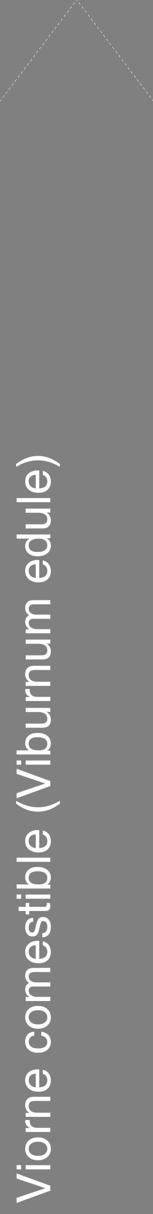 Étiquette de : Viburnum edule - format c - style blanche57_simplehel avec comestibilité
