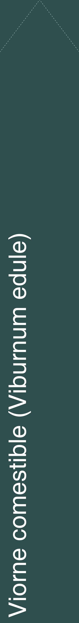 Étiquette de : Viburnum edule - format c - style blanche58_simplehel avec comestibilité