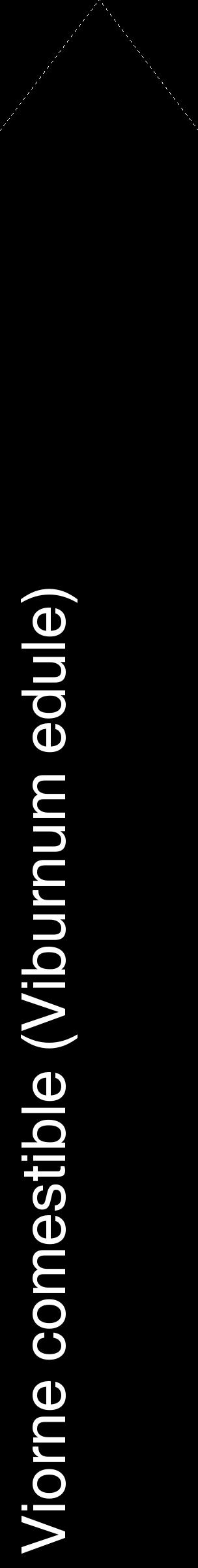 Étiquette de : Viburnum edule - format c - style blanche59_simplehel avec comestibilité