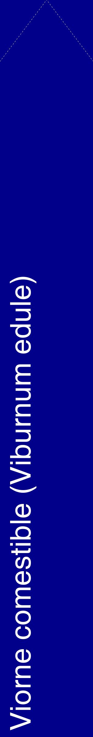 Étiquette de : Viburnum edule - format c - style blanche7_simplehel avec comestibilité