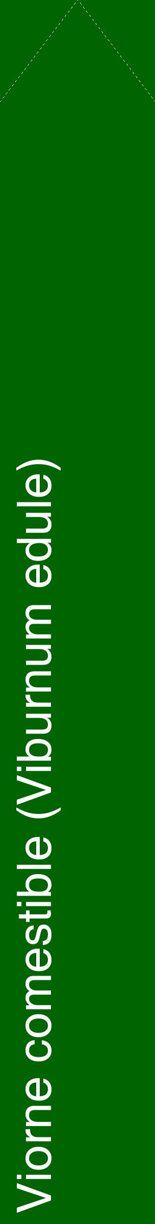 Étiquette de : Viburnum edule - format c - style blanche8_simplehel avec comestibilité