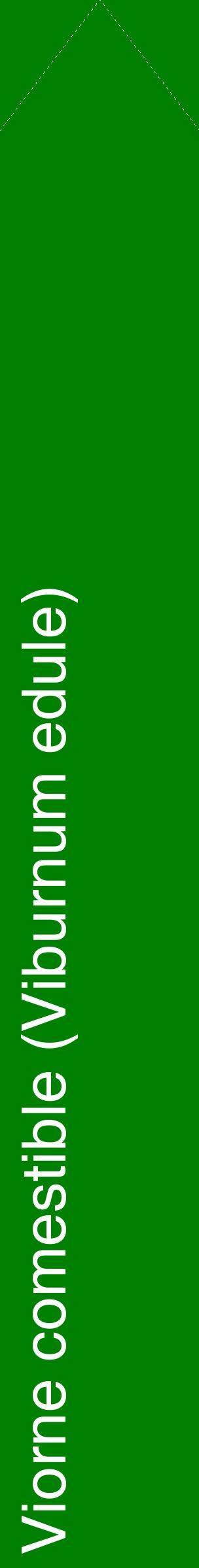 Étiquette de : Viburnum edule - format c - style blanche9_simplehel avec comestibilité