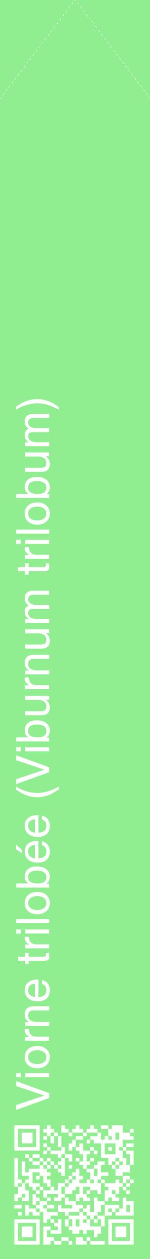 Étiquette de : Viburnum trilobum - format c - style blanche15_simplehel avec qrcode et comestibilité