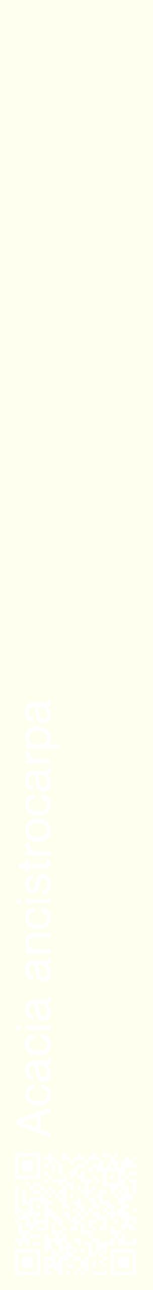 Étiquette de : Acacia ancistrocarpa - format c - style blanche19_simplehel avec qrcode et comestibilité