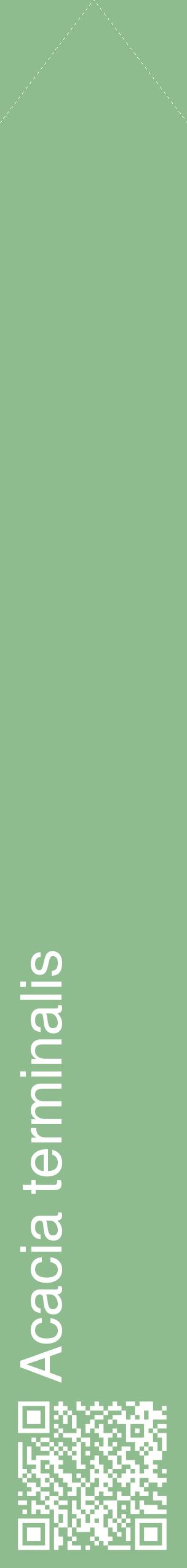 Étiquette de : Acacia terminalis - format c - style blanche13_simplehel avec qrcode et comestibilité