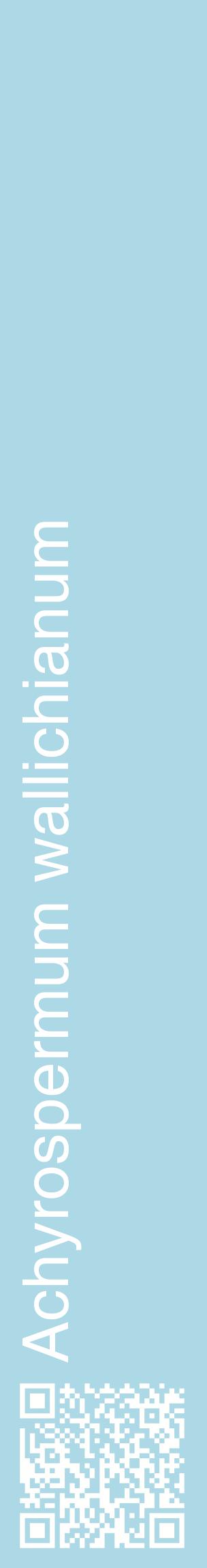 Étiquette de : Achyrospermum wallichianum - format c - style blanche0_basiquehel avec qrcode et comestibilité