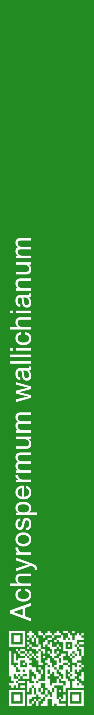 Étiquette de : Achyrospermum wallichianum - format c - style blanche10_basiquehel avec qrcode et comestibilité