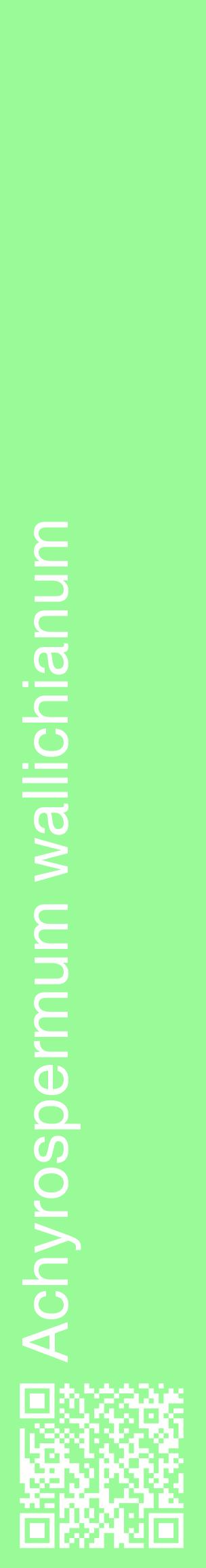 Étiquette de : Achyrospermum wallichianum - format c - style blanche14_basiquehel avec qrcode et comestibilité