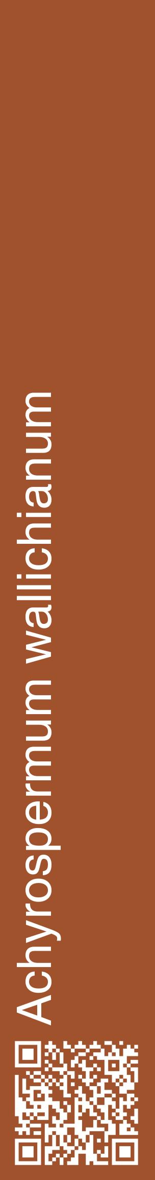Étiquette de : Achyrospermum wallichianum - format c - style blanche32_basiquehel avec qrcode et comestibilité