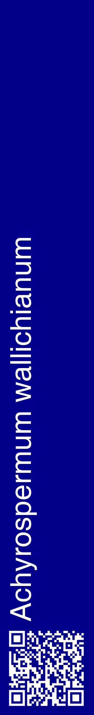 Étiquette de : Achyrospermum wallichianum - format c - style blanche7_basiquehel avec qrcode et comestibilité