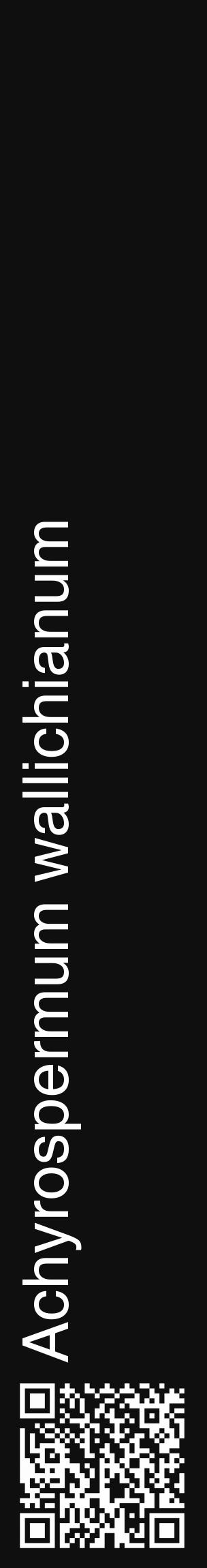 Étiquette de : Achyrospermum wallichianum - format c - style blanche7_basique_basiquehel avec qrcode et comestibilité - position verticale