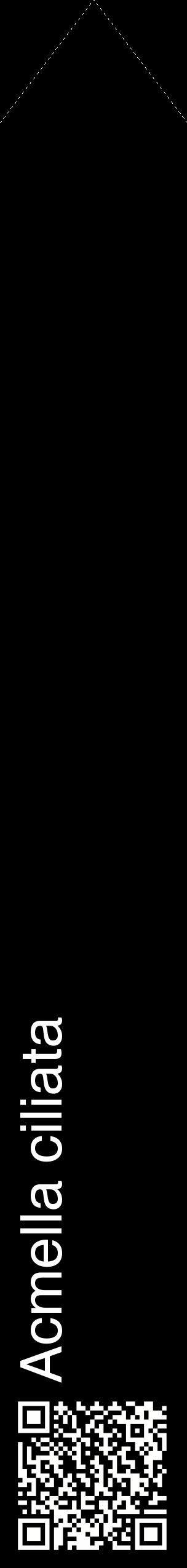Étiquette de : Acmella ciliata - format c - style blanche59_simplehel avec qrcode et comestibilité