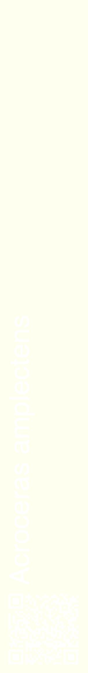 Étiquette de : Acroceras amplectens - format c - style blanche19_basiquehel avec qrcode et comestibilité
