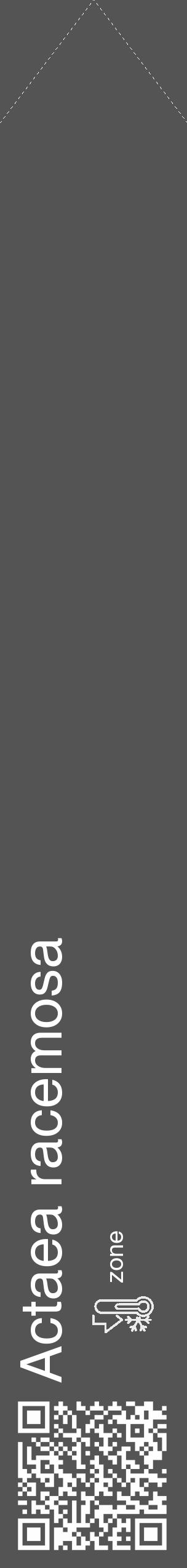 Étiquette de : Actaea racemosa - format c - style blanche30_simple_simplehel avec qrcode et comestibilité - position verticale