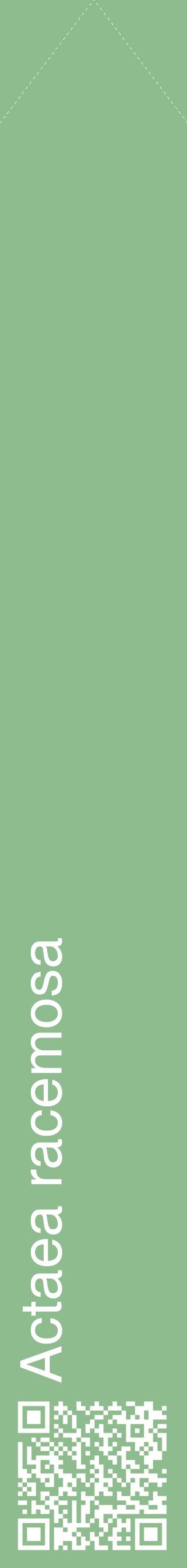 Étiquette de : Actaea racemosa - format c - style blanche13_simplehel avec qrcode et comestibilité