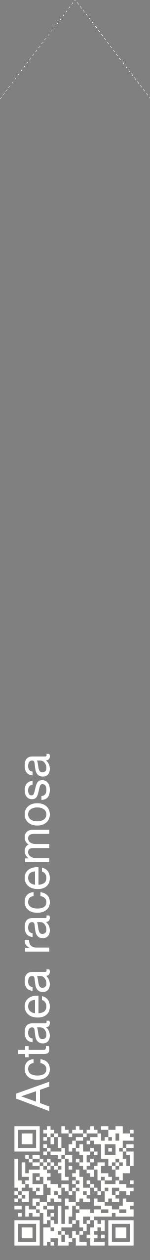 Étiquette de : Actaea racemosa - format c - style blanche57_simplehel avec qrcode et comestibilité
