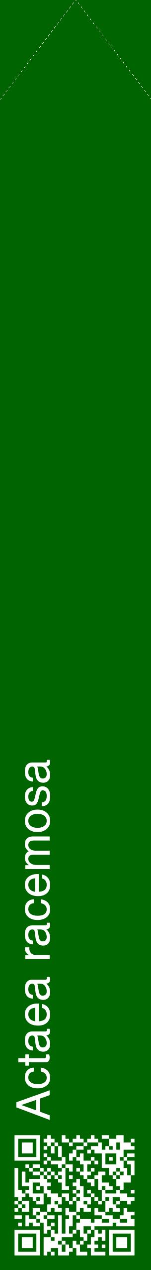 Étiquette de : Actaea racemosa - format c - style blanche8_simplehel avec qrcode et comestibilité