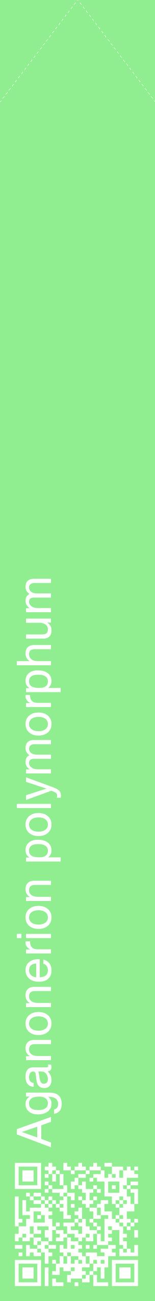 Étiquette de : Aganonerion polymorphum - format c - style blanche15_simplehel avec qrcode et comestibilité