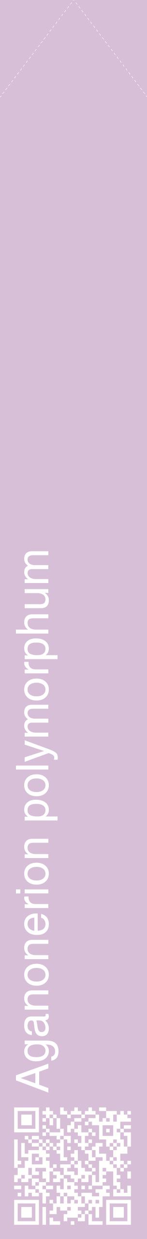 Étiquette de : Aganonerion polymorphum - format c - style blanche54_simplehel avec qrcode et comestibilité