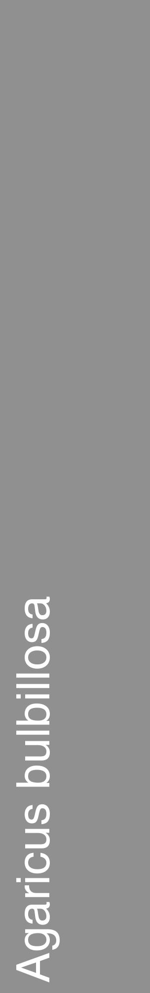 Étiquette de : Agaricus bulbillosa - format c - style blanche4_basique_basiquehel avec comestibilité - position verticale