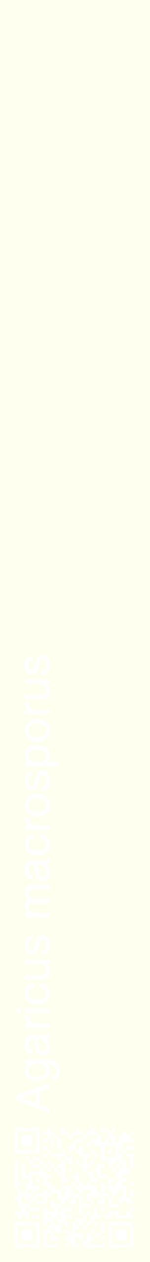 Étiquette de : Agaricus macrosporus - format c - style blanche19_simplehel avec qrcode et comestibilité