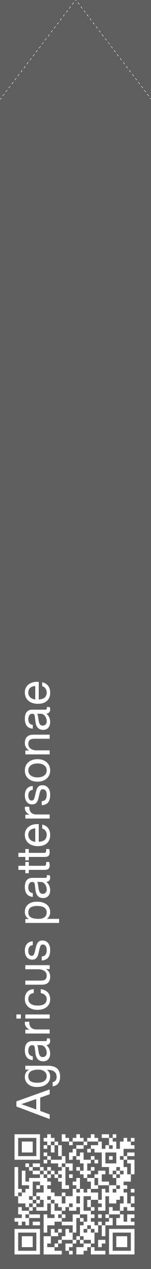 Étiquette de : Agaricus pattersonae - format c - style blanche10_simple_simplehel avec qrcode et comestibilité - position verticale