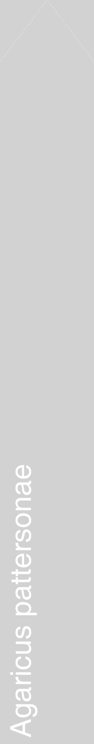 Étiquette de : Agaricus pattersonae - format c - style blanche14_simple_simplehel avec comestibilité - position verticale