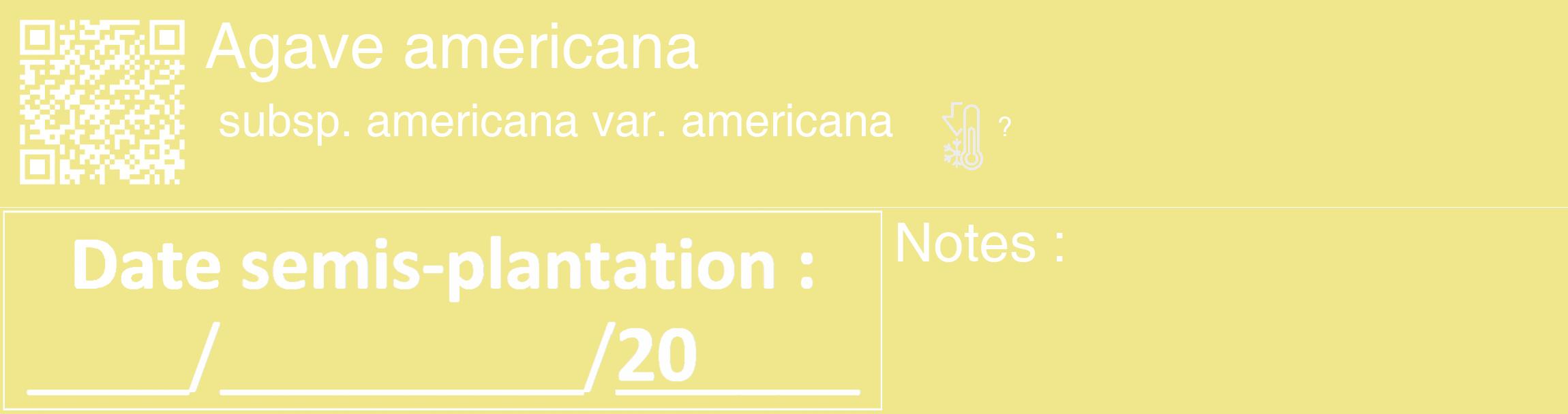 Étiquette de : Agave americana subsp. americana var. americana - format c - style blanche20_basique_basiquehel avec qrcode et comestibilité