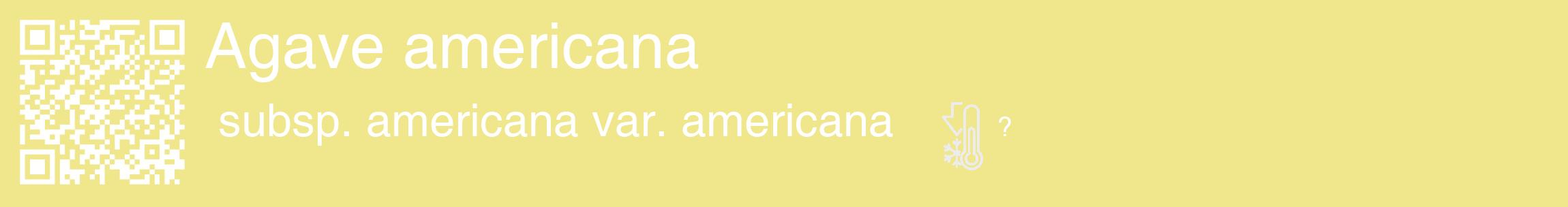 Étiquette de : Agave americana subsp. americana var. americana - format c - style blanche20_basique_basiquehel avec qrcode et comestibilité