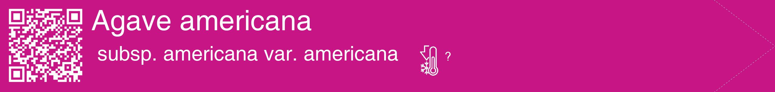 Étiquette de : Agave americana subsp. americana var. americana - format c - style blanche45_simple_simplehel avec qrcode et comestibilité
