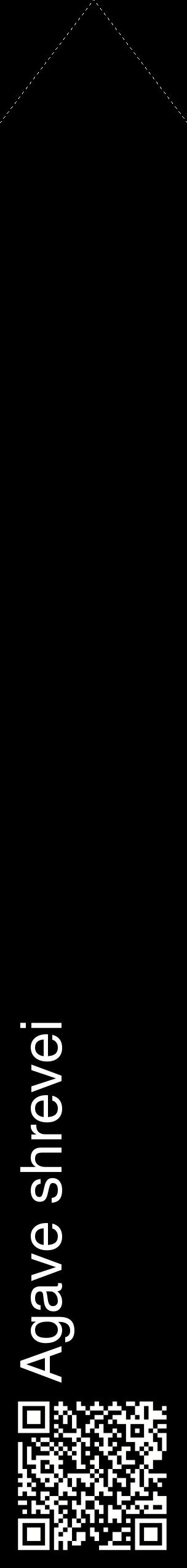 Étiquette de : Agave shrevei - format c - style blanche59_simplehel avec qrcode et comestibilité