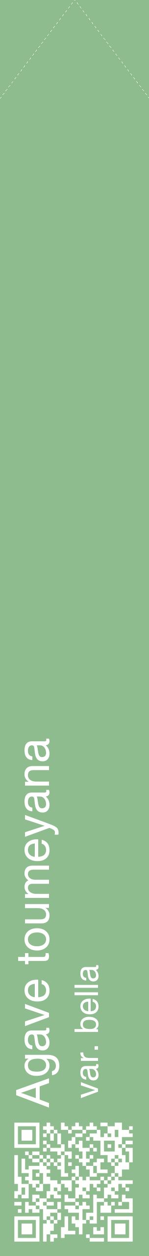 Étiquette de : Agave toumeyana var. bella - format c - style blanche13_simplehel avec qrcode et comestibilité