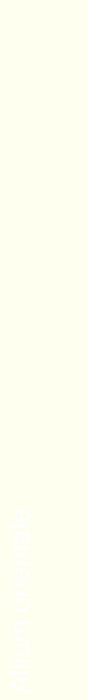 Étiquette de : Allium orientale - format c - style blanche19_simplehel avec comestibilité
