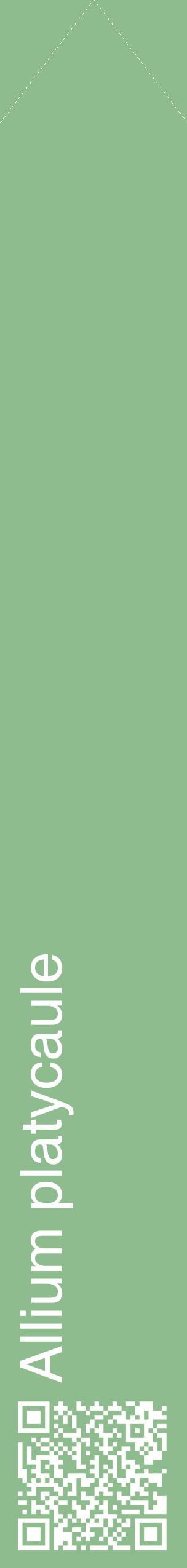 Étiquette de : Allium platycaule - format c - style blanche13_simplehel avec qrcode et comestibilité