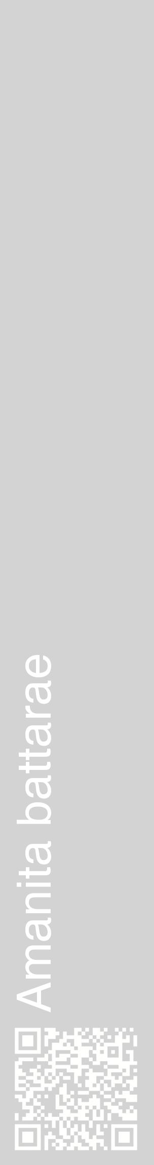 Étiquette de : Amanita battarae - format c - style blanche56_basiquehel avec qrcode et comestibilité