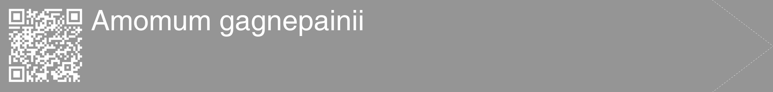 Étiquette de : Amomum gagnepainii - format c - style blanche16_simple_simplehel avec qrcode et comestibilité