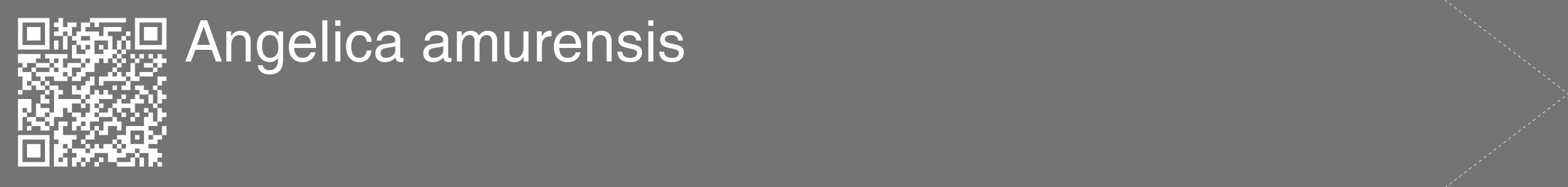 Étiquette de : Angelica amurensis - format c - style blanche26_simple_simplehel avec qrcode et comestibilité