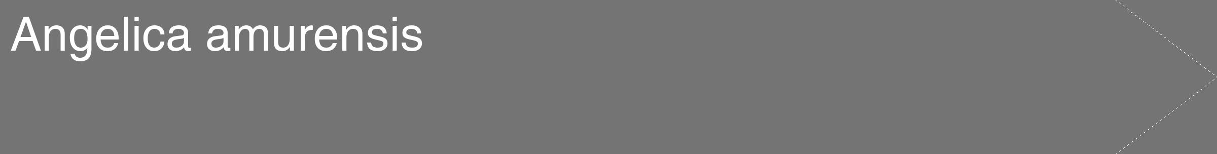 Étiquette de : Angelica amurensis - format c - style blanche26_simple_simplehel avec comestibilité