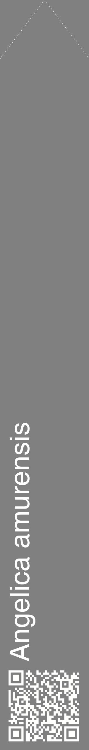Étiquette de : Angelica amurensis - format c - style blanche57_simplehel avec qrcode et comestibilité
