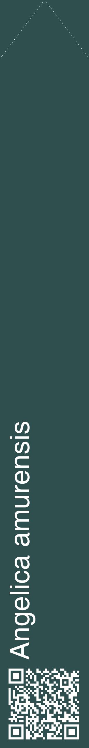 Étiquette de : Angelica amurensis - format c - style blanche58_simplehel avec qrcode et comestibilité