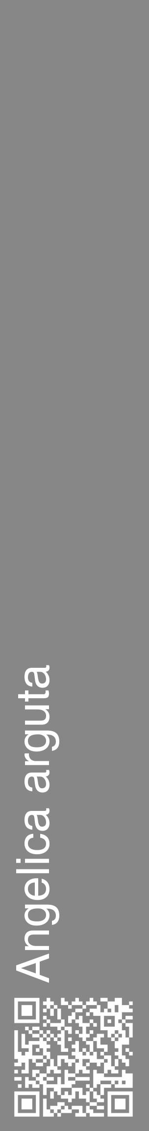 Étiquette de : Angelica arguta - format c - style blanche12_basique_basiquehel avec qrcode et comestibilité - position verticale