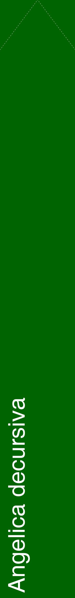 Étiquette de : Angelica decursiva - format c - style blanche8_simplehel avec comestibilité